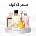 Feminine Charm Collection - Women's